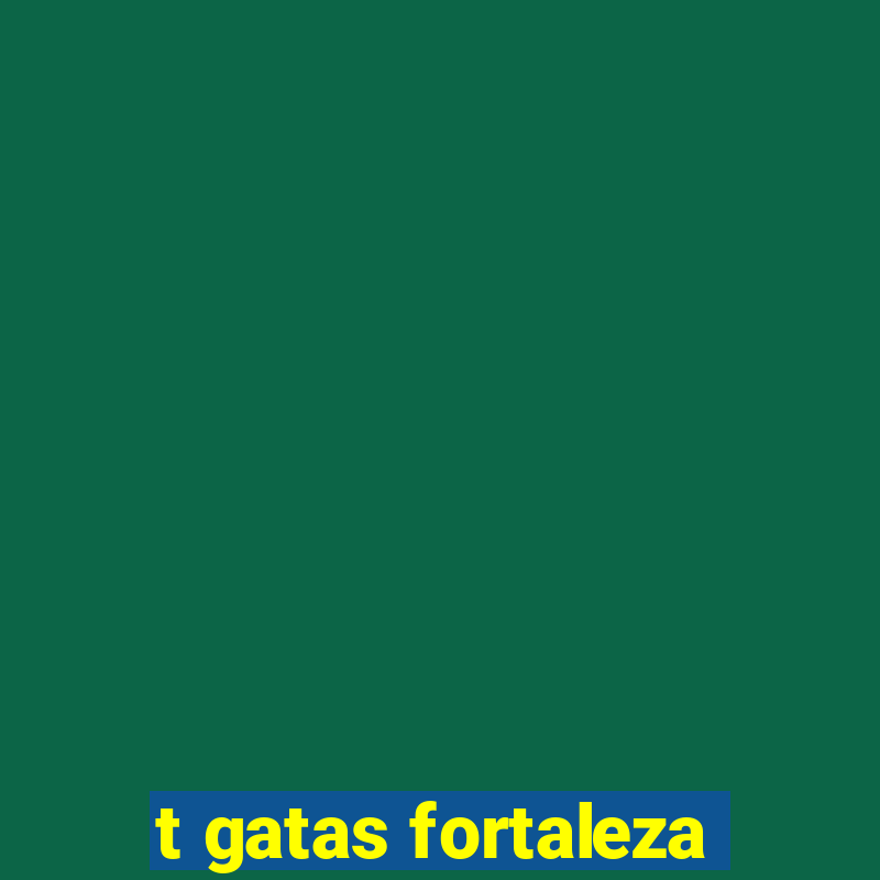 t gatas fortaleza